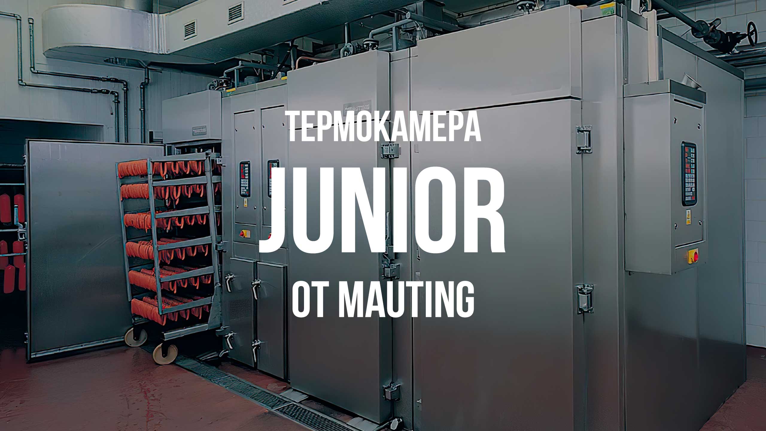 Универсальная термокамера JUNIOR от Mauting: компактное решение для HoReCa и малого бизнеса