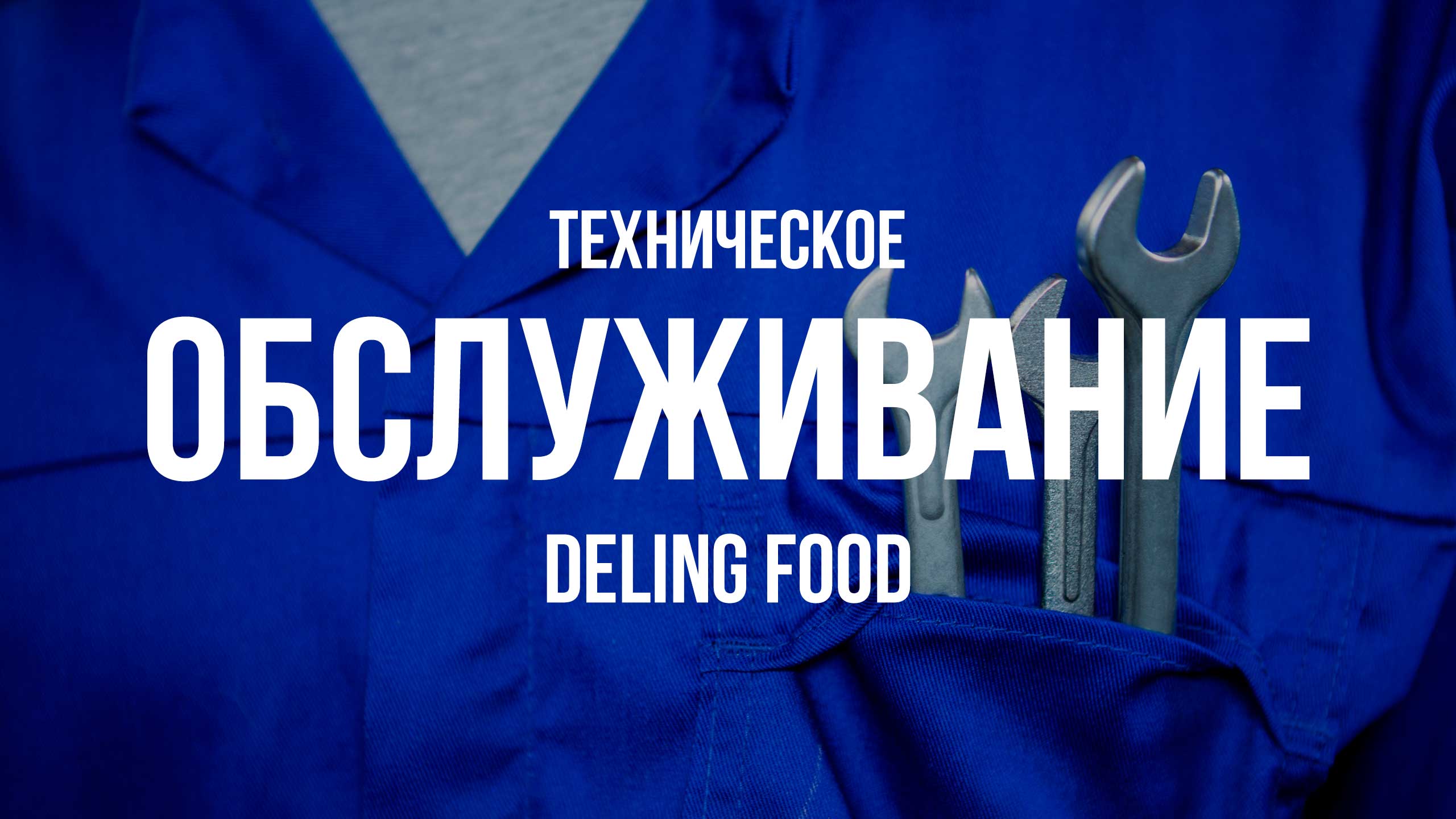 Техническое обслуживание Deling Food